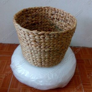 hop beo vnh0384
